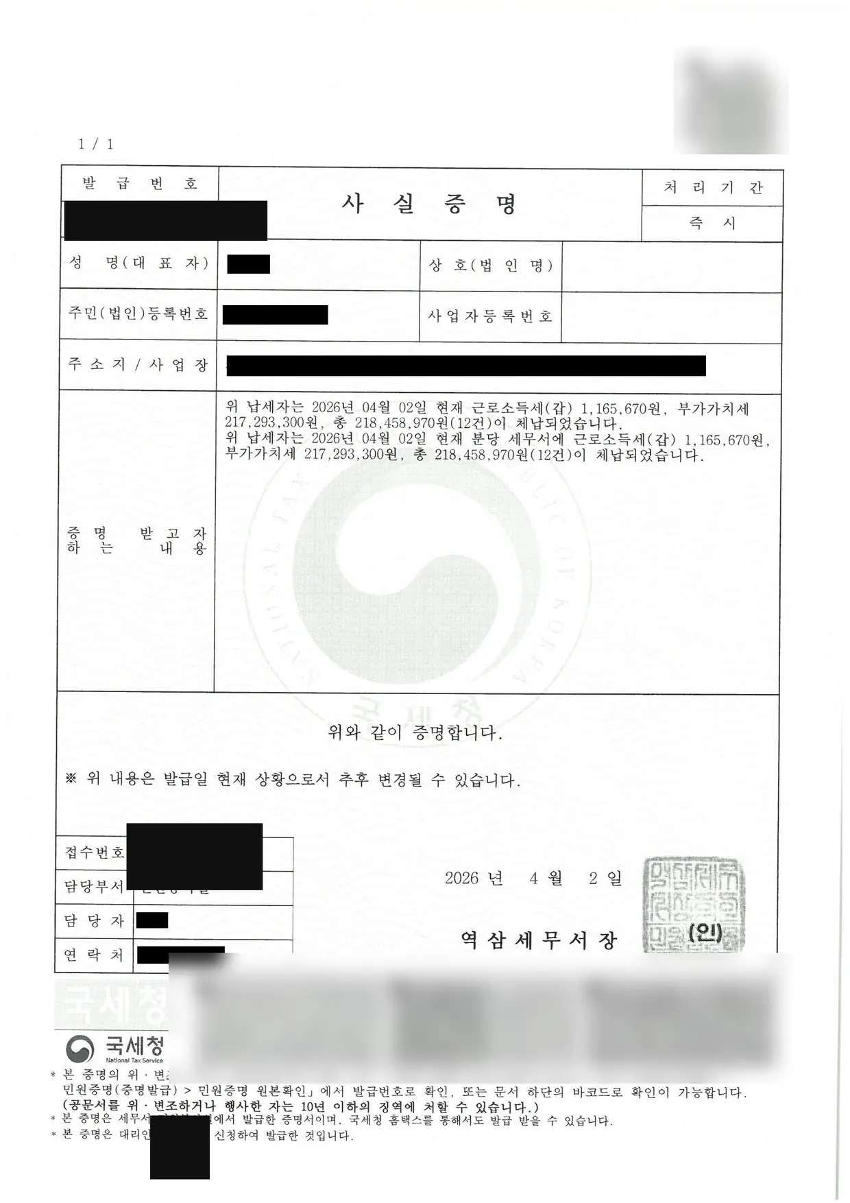체납사실증명 (개인정보 마스킹)